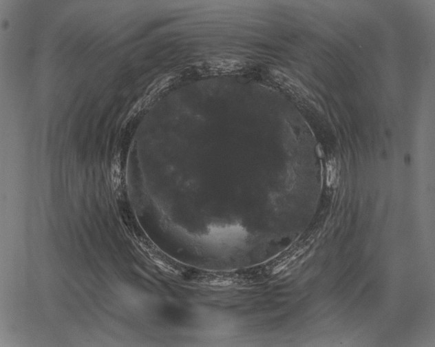 X0000062851011200601131344