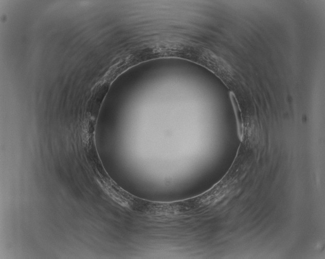 X0000062851012200601131344