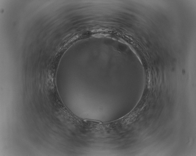 X0000062851013200601131344