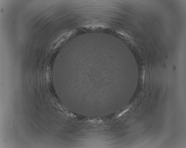 X0000062851014200601131344