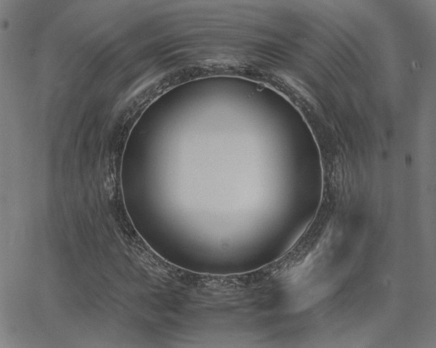 X0000062851015200601131344