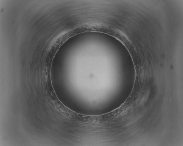 X0000062851016200601131344