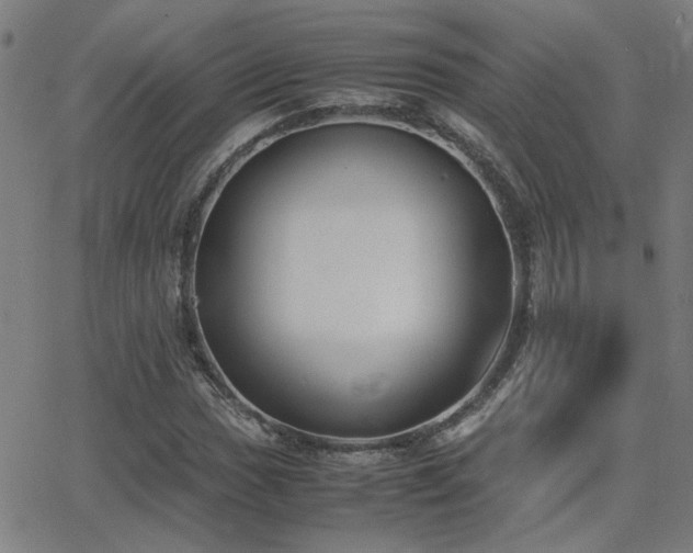 X0000062851017200601131344