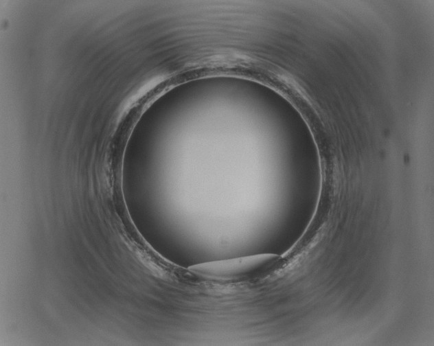 X0000062851018200601131344