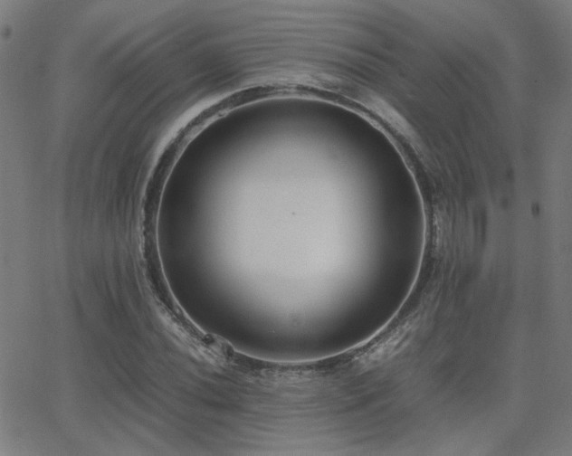 X0000062851020200601131344