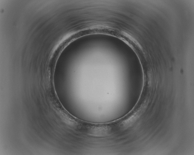 X0000062851021200601131344