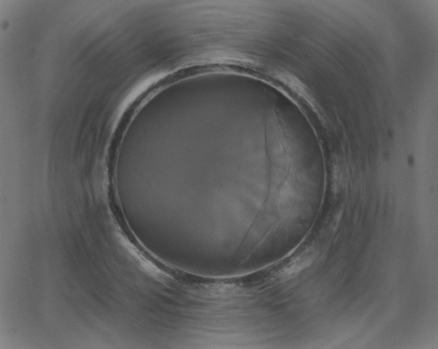 X0000062851024200601131344