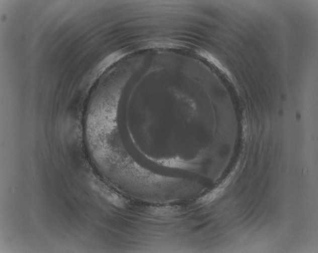 X0000062851025200601131344