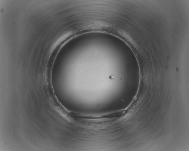 X0000062851026200601131344