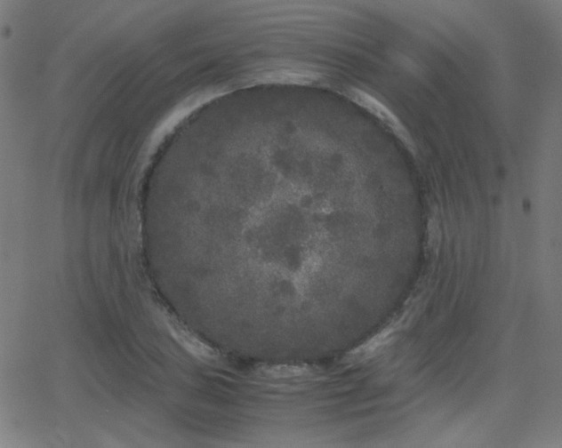 X0000062851027200601131344