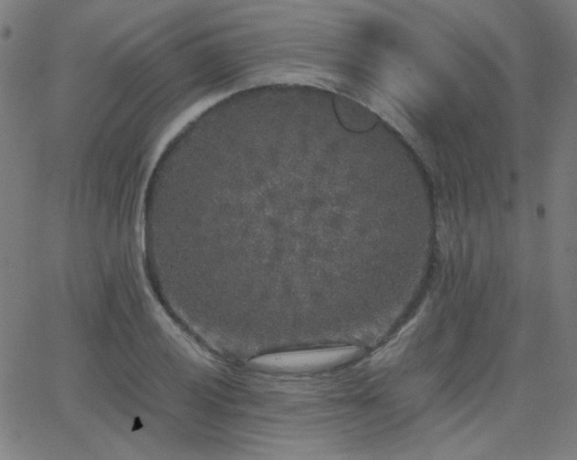 X0000062851028200601131344