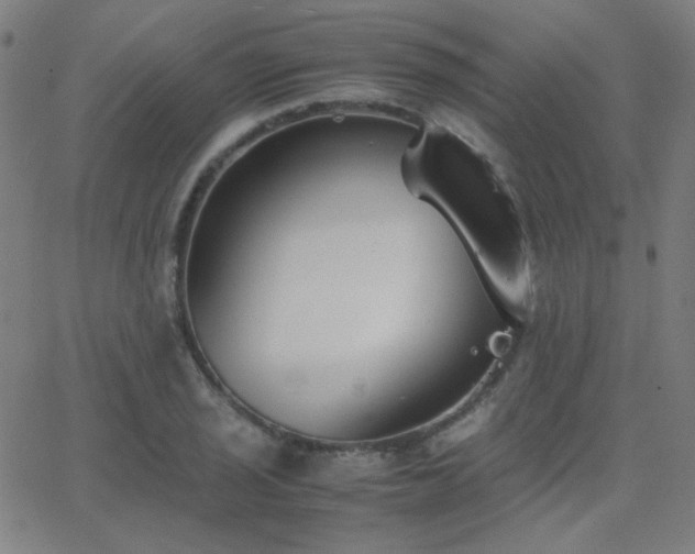 X0000062851029200601131344