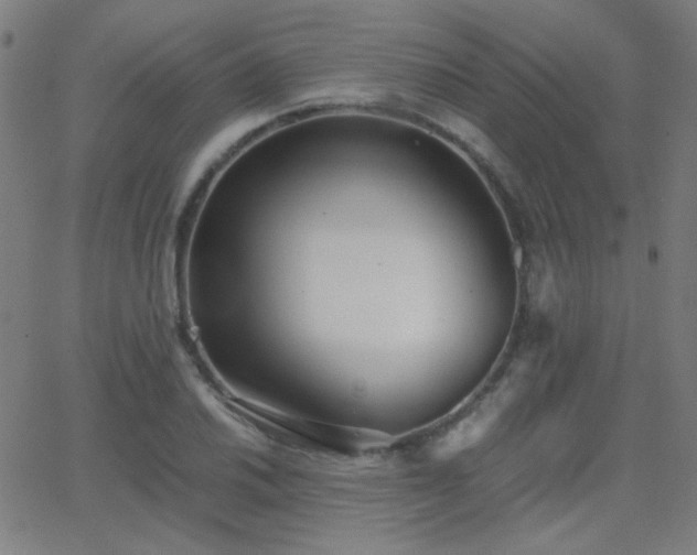 X0000062851030200601131344