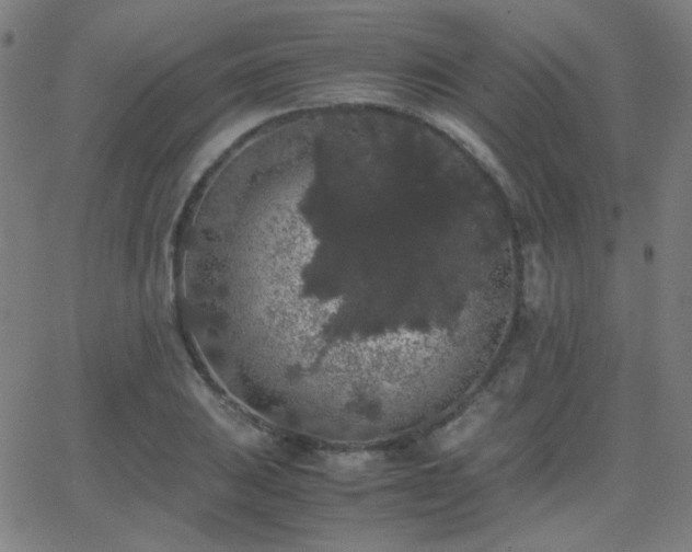 X0000062851031200601131344