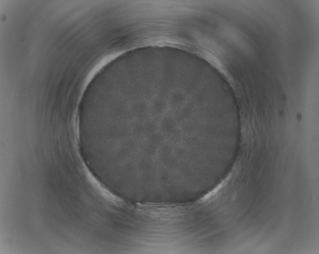 X0000062851032200601131344