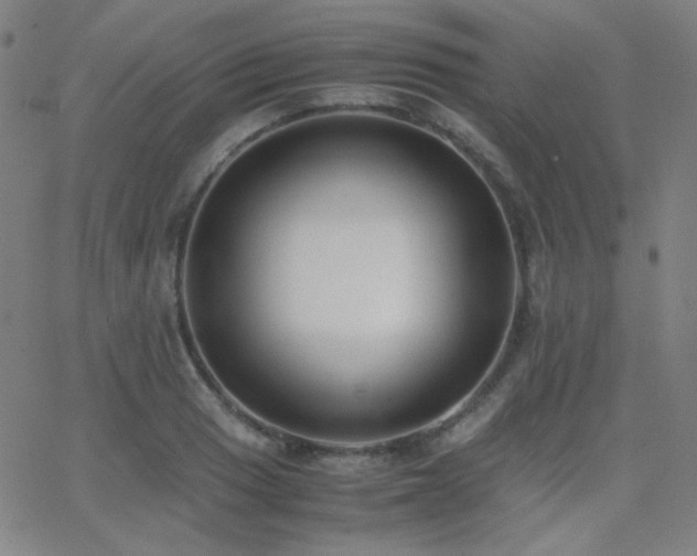 X0000062851033200601131344