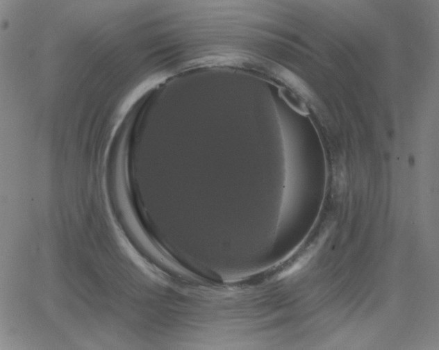 X0000062851034200601131344