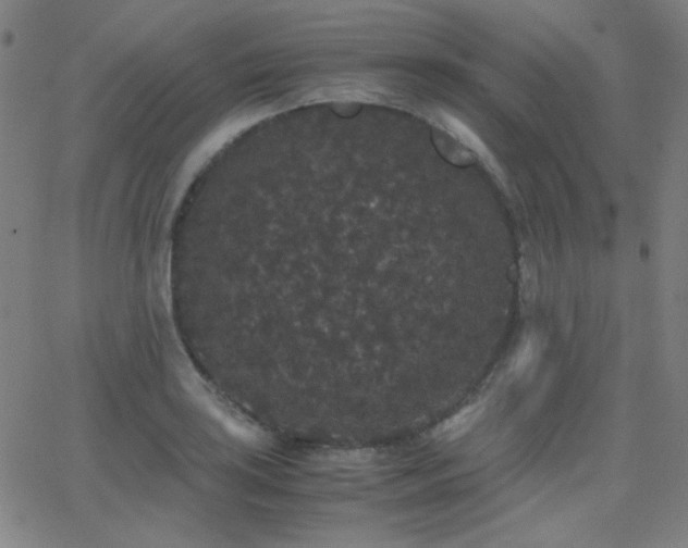 X0000062851035200601131344