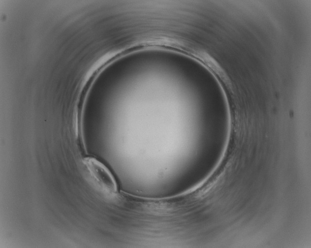 X0000062851036200601131344