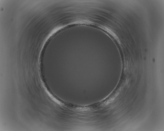 X0000062851037200601131344