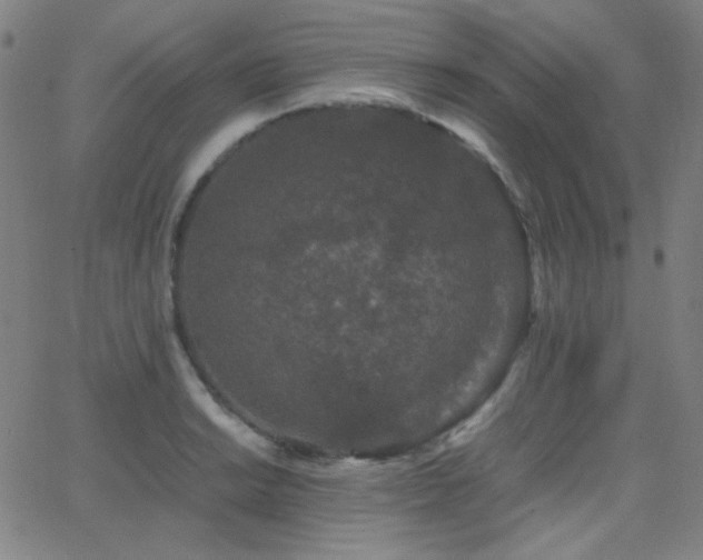 X0000062851038200601131344