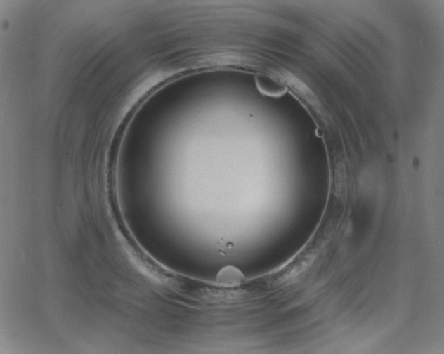 X0000062851039200601131344