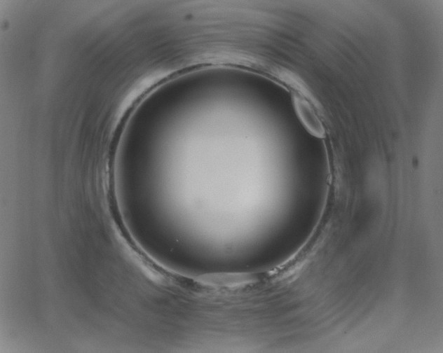 X0000062851040200601131344