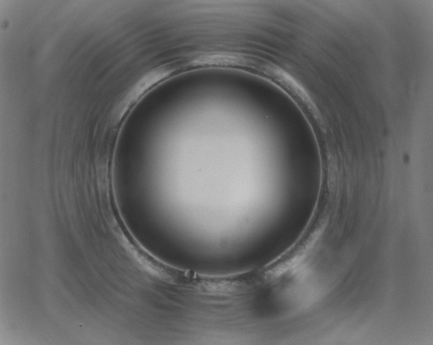 X0000062851041200601131345