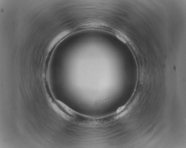 X0000062851042200601131345