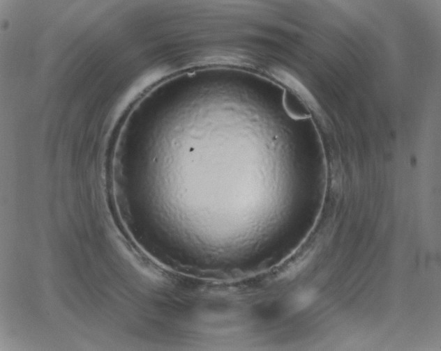 X0000062851043200601131345