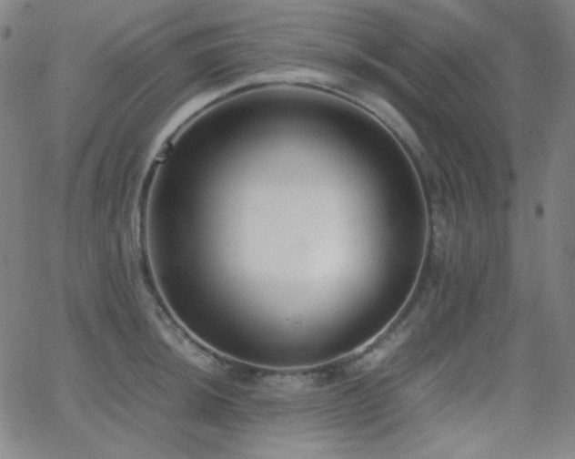 X0000062851044200601131345