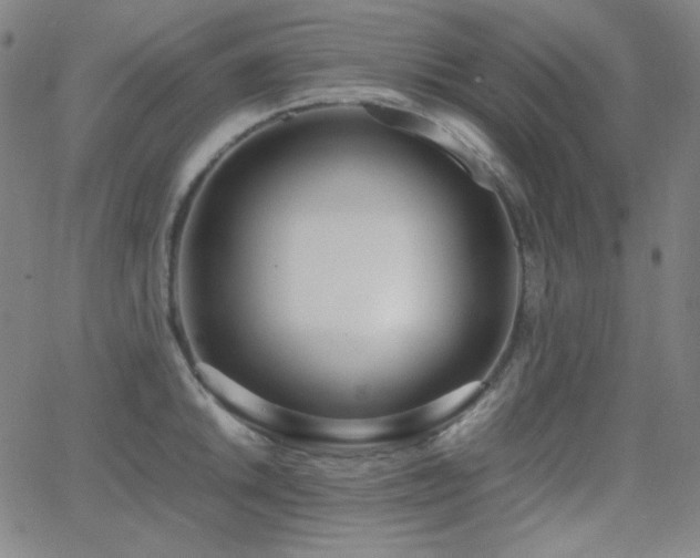 X0000062851046200601131345