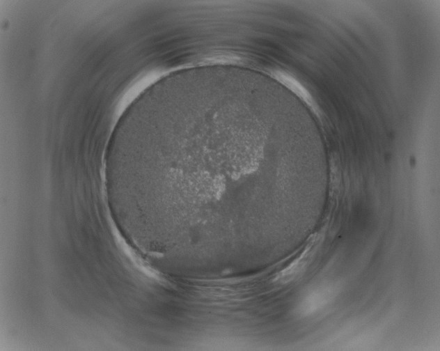 X0000062851047200601131345