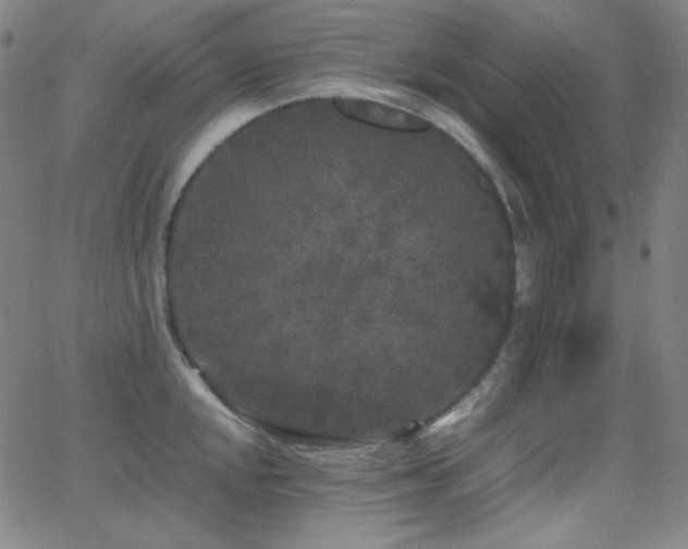 X0000062851048200601131345