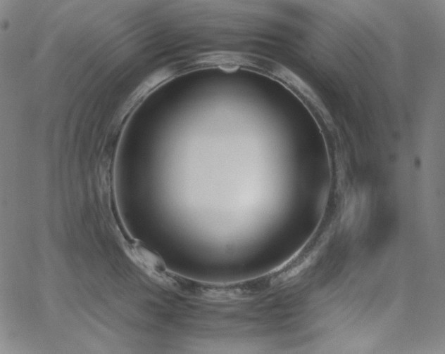 X0000062851049200601131345