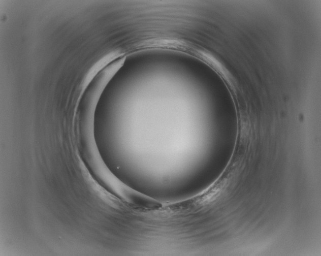 X0000062851050200601131345