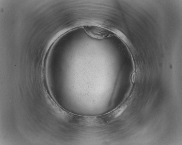 X0000062851052200601131345