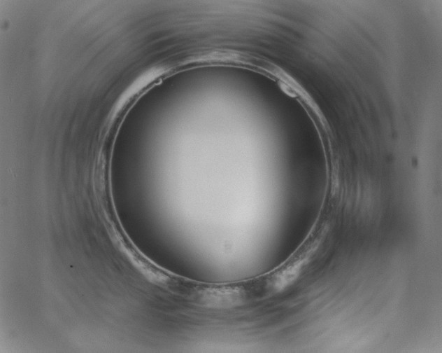 X0000062851053200601131345