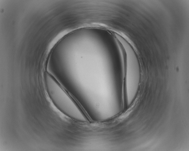 X0000062851054200601131345