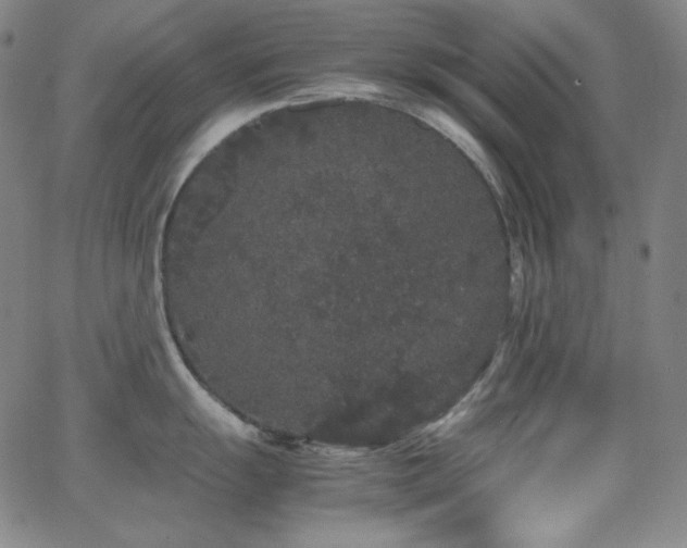 X0000062851055200601131345