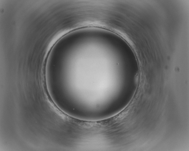 X0000062851056200601131345