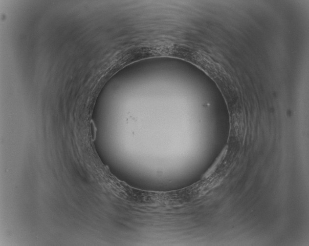 X0000062851057200601131344