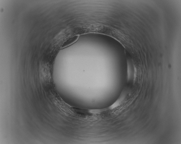 X0000062851058200601131344