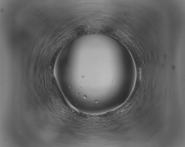 X0000062851059200601131344