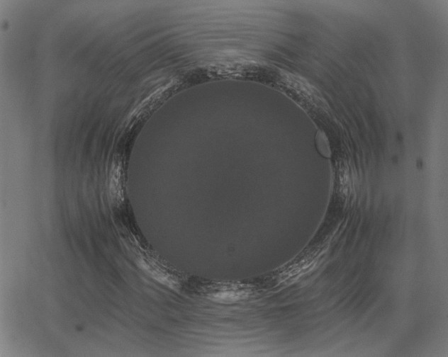 X0000062851060200601131344