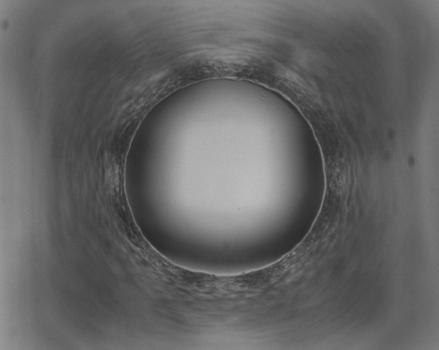 X0000062851061200601131344