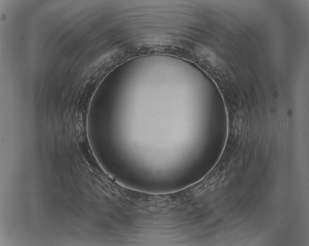 X0000062851062200601131344