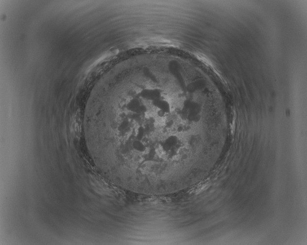 X0000062851063200601131344