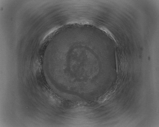 X0000062851064200601131344