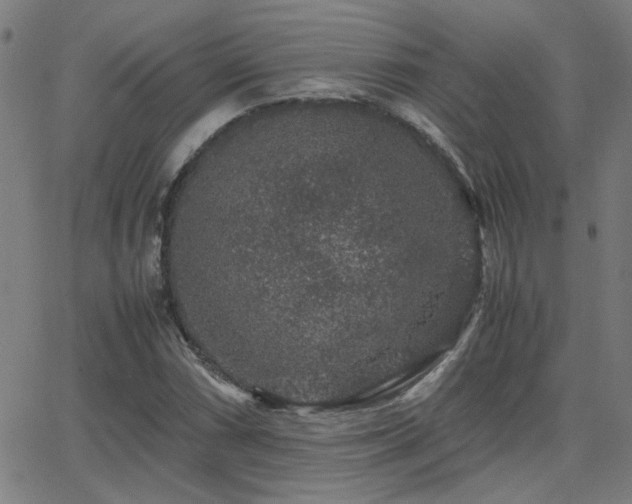 X0000062851066200601131344